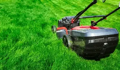 Aménagements jardins Sixt Sur Aff-1