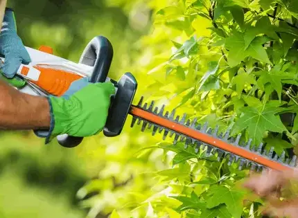 Aménagements jardins Sixt Sur Aff-5