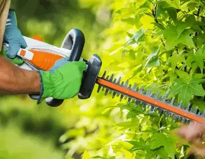 Débroussaillage Sixt Sur Aff-5