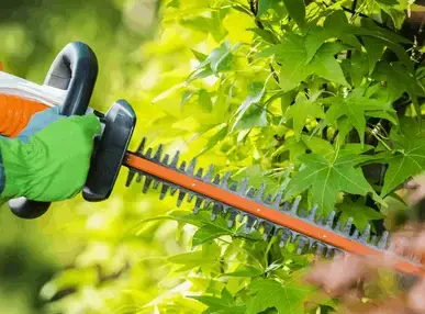 Jardinage à domicile Sixt Sur Aff-4
