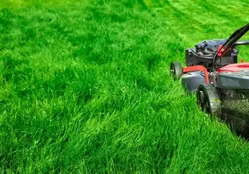 Jardinage à domicile Sixt Sur Aff-5