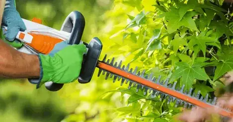 Jardinier Sixt Sur Aff-3