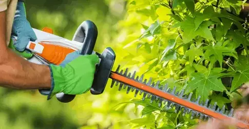 Taille de haie Guipry Messac-3