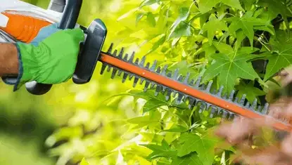 Taille de haie Sixt Sur Aff-4